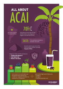 acai-infographic-en